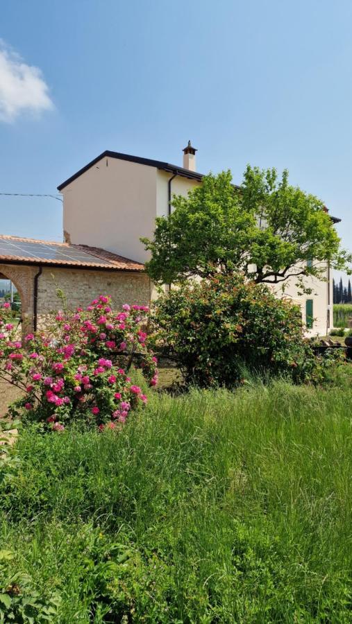 Casa Ossan Bed & Breakfast